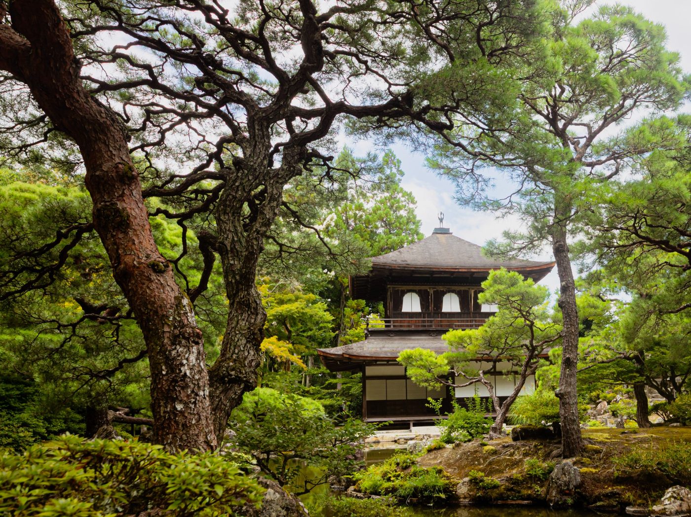 A Japanese garden and traditional building framed by pine trees